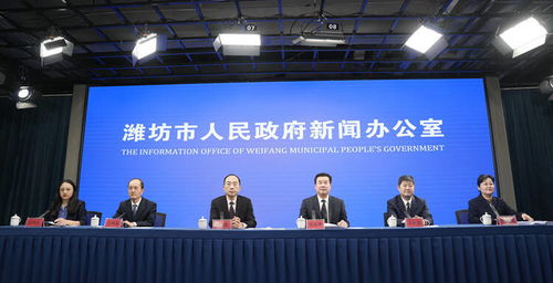 潍坊 民间艺术 戏曲曲艺等72项文化活动 为群众提供丰富 年味大餐