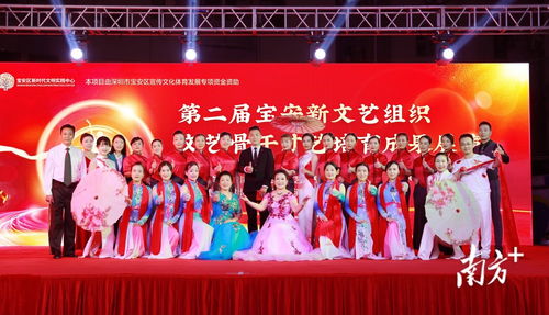 第二届宝安新文艺组织文艺骨干才艺培育活动落幕