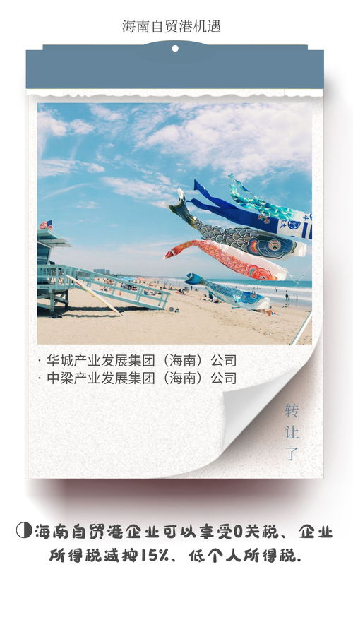 海南自贸港文旅集团与德国企业税收优势对比及文化艺术交流活动组织