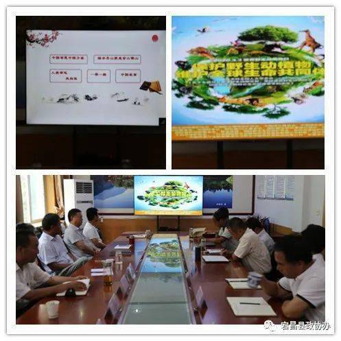 宕昌县政协组织收看“陇南·书香政协”讲堂开讲仪式暨文化艺术交流活动